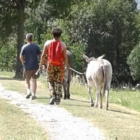 Daire Nid Douillet En Ardeche Chomérac
