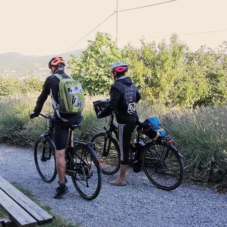 Daire Nid Douillet En Ardeche Chomérac